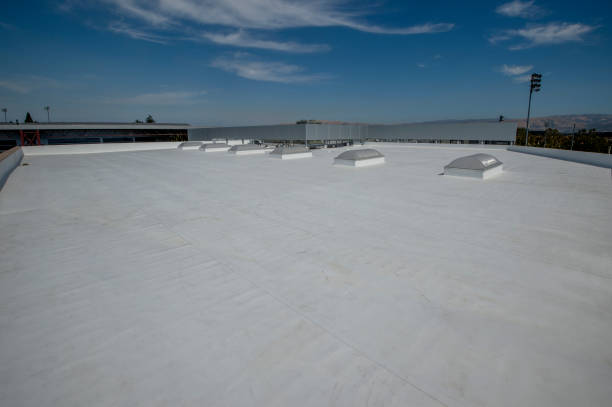 Best Green or Eco-Friendly Roofing Solutions  in North Merrick, NY