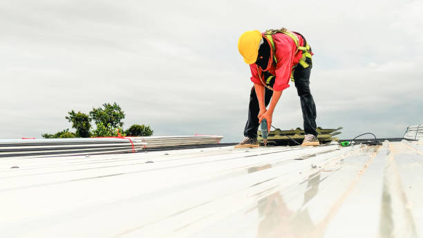 Best Roof Maintenance and Cleaning  in North Merrick, NY